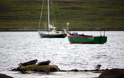 lowland-mans-bay-jura